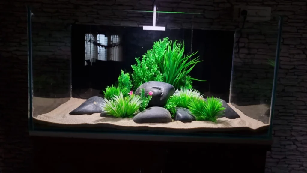 Filial Aquatics, Aquascaping, Aquarium Design