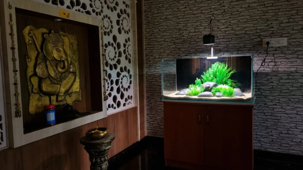 Aquarium Design Madurai, Aquascaping Services, Koi Pond Installation