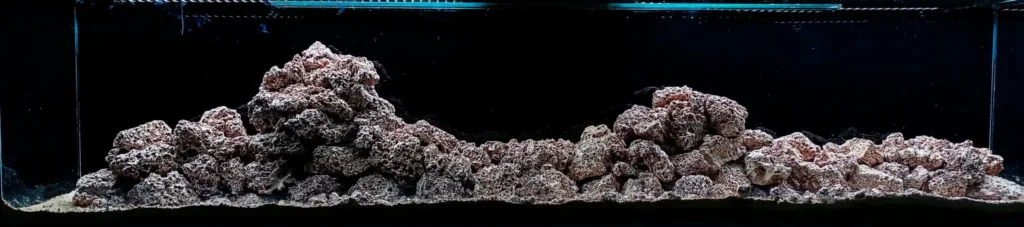 Filial Aquatics Blog, Aquascaping, Aquarium Design