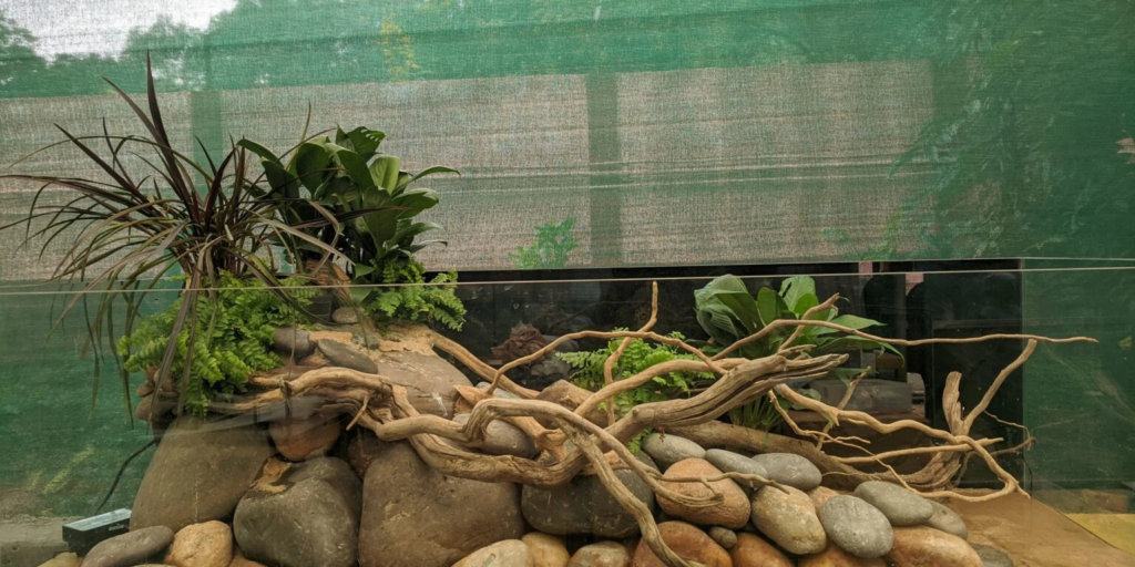 Agasthiar Falls, Tamiraparani River, Biotope Aquarium