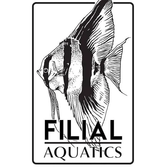 Filial Aquatics, Aquascaping, Aquarium Design